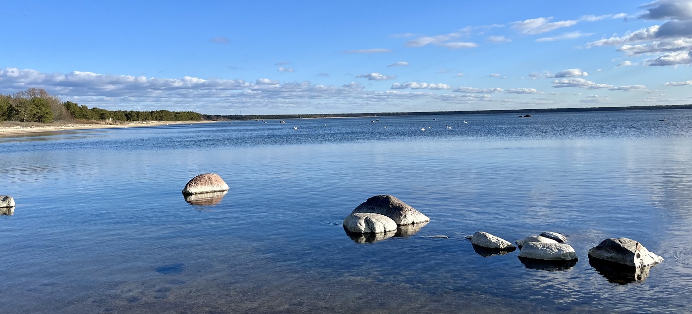 Kuidas kaugtööd tehes meeskonnatunnet säilitada